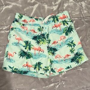 Janie and Jack Flamingo Print Boy’s Shorts - Green and Pink